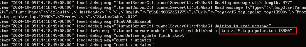 image-20241009143123955